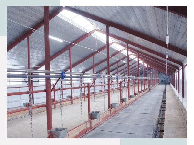 Строительство коровников в Котельниках от 637 руб.