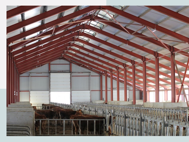 Строительство коровников в Котельниках