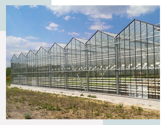 Строительство теплиц в Котельники от 637 руб. за м²